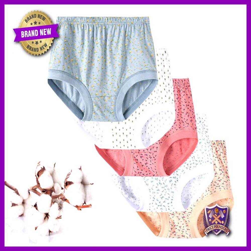 High Waisted Cotton Briefs Full Coverage Plus Size Women's Underwear 5 Pack